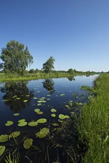 Images Dated 31st May 2014: De Weerribben Nationaal Park Print