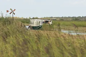 Wetland Landscape Prints: De Weerribben