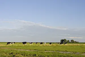 Meadow Weiland Print at Durgerdam