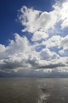 Low Tide Netherlands Prints: Westerschelde