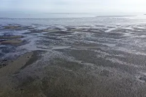 Low Tide Coastal Scenery Prints: Westerschelde, low tide