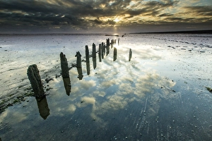 European Water Reflections Prints: the Wierumerwad