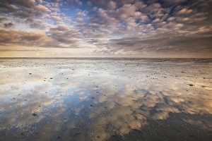 Low Tide Mudflats Europe Prints: the Wierumerwad