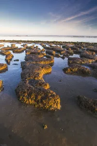 Wadden Sea Coastline Prints: Wierumerwad, Waddenzee