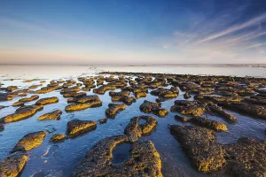 Wierumerwad Waddenzee Sandbars Print