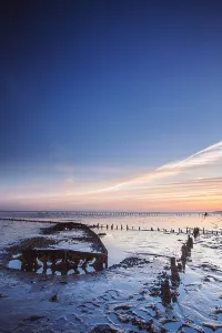 Europe Coastal Scenery Prints: Wierumerwad, Waddenzee