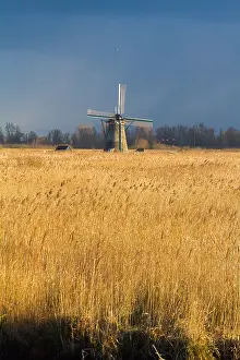 Netherlands Tourist Attraction Prints: Windmills at Kinderdijk