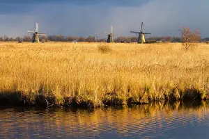 Netherlands Tourist Attraction Prints: Windmills at Kinderdijk