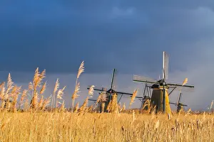 South Holland Tourist Attraction Prints: Windmills at Kinderdijk