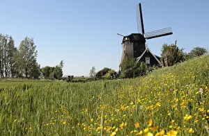 Windmill Netherlands Prints: Windmolen, Windmill