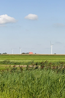 Windmills Print at Piaam, Agami