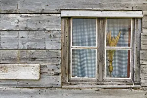 Images Dated 28th May 2016: Wooden House Window Print with Curtain