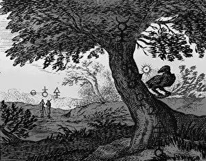 Historical Engravings Prints: Alchemy Illustration