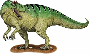 Jurassic Dinosaurs Prints: Allosaurus