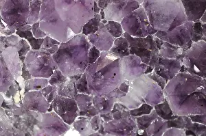 Semi Precious Stones Prints: Amethyst