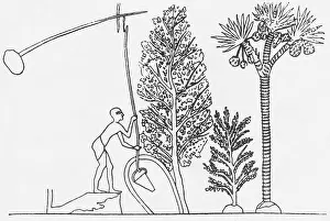 Historical Artwork Prints: Ancient Well