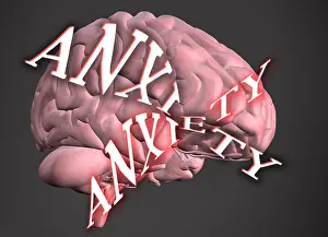 Anxiety Illustration Print of the Human Brain
