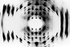 DNA Prints: X-ray Diffraction Print of DNA Molecule