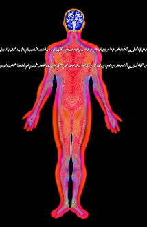 Brainwave Print: Medical Illustration of the Brain and EEG