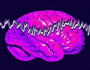 Human Brain Illustration Prints: Brainwaves
