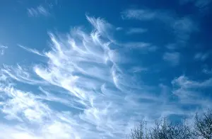 Cloud Formation Prints: Cirrus Cloud