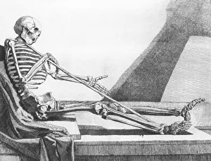 Human Skeleton Anatomy Prints: Death Rests