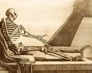 Anatomy Illustrations Prints: Death Rests