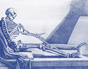 Anatomical Illustrations Prints: Death Rests