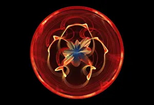 Abstract Fractals Prints: Fractal Flame
