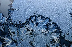 Window Frost Design Prints: Frost Crystals