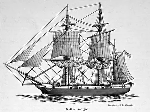 HMS Beagle Prints: HMS Beagle