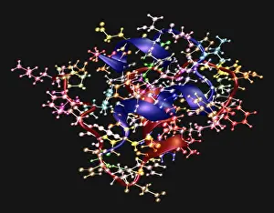 Human Insulin Monomer Print - Computer-Generated Model of 2HIU Coordinates