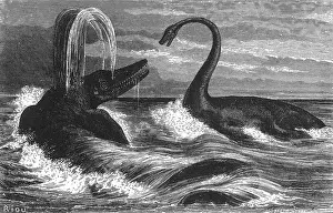 Paleontology Illustrations Prints: Ichthyosaurus and Plesiosaurus