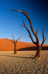 Namibia Desert Landscapes Prints: Sand dunes, Namibia