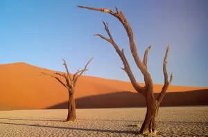 Prints of Sand dunes. Sassusvlei, Namib National Park, Namibia Related Prints: Namibia Sand Dunes Print