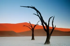 Namibia Desert Landscapes Prints: Sand dunes, Namibia
