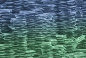 Scanning Electron Microscope Images Prints: Abalone Shell, under a microscope (SEM)