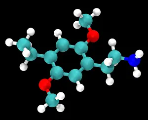 Molecular Model Prints: Molecular Model of 2C-E