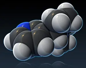 Nicotine Molecular Model Print