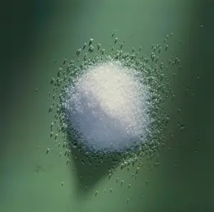 Prescription Medication Prints: Penicillin