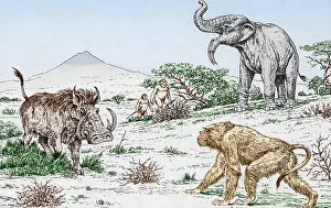 Prehistoric Animals Illustration Prints: Prehistoric Extinct Animals