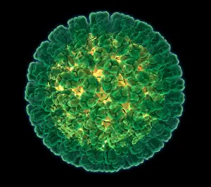 Rotavirus Molecular Model Print