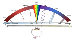Electromagnetic Spectrum Print Diagram