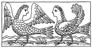 Mythical Sea Creatures Prints: Sirens, Mythological Creature