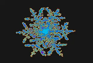 Geometric Symmetry Pattern Prints: Snowflake
