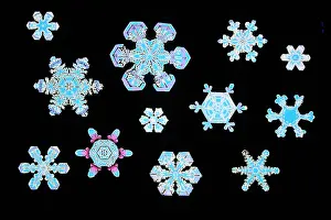 White Winter Wonderland Prints: Snowflakes