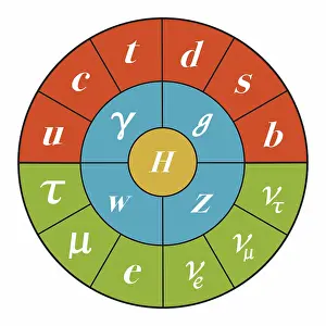 Higgs Boson Particle Prints: Standard Model, Particle Physics