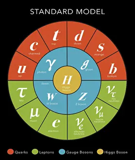Higgs Boson Particle Prints: Standard Model, Particle Physics