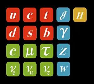 Higgs Boson Particle Prints: Standard Model, Particle Physics