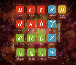 Higgs Boson Particle Prints: Standard Model, Particle Physics